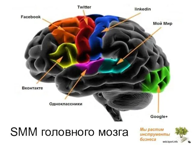 SMM головного мозга