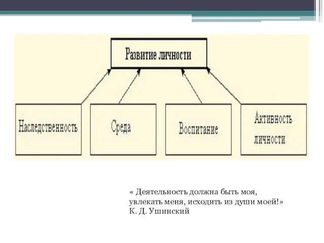 « Деятельность должна быть моя, увлекать меня, исходить из души моей!» К. Д. Ушинский