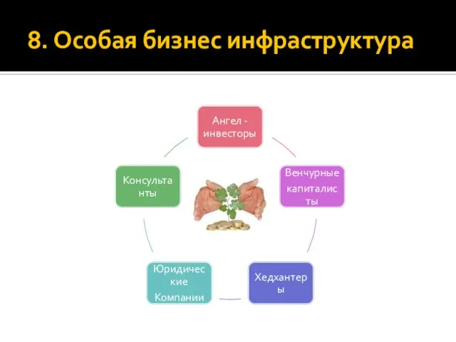 8. Особая бизнес инфраструктура