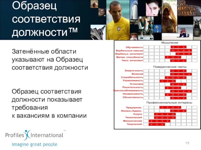 Образец соответствия должности™ Затенённые области указывают на Oбразец cоответствия должности Образец соответствия