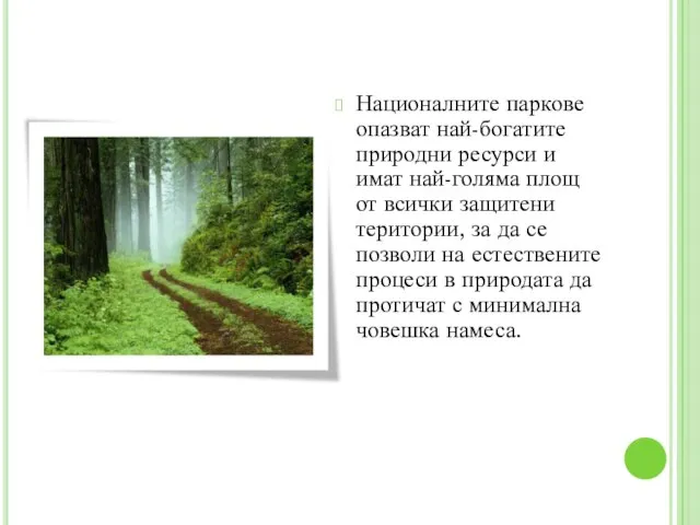 Националните паркове опазват най-богатите природни ресурси и имат най-голяма площ от всички