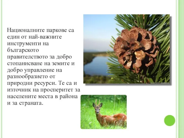 Националните паркове са един от най-важните инструменти на българското правителството за добро