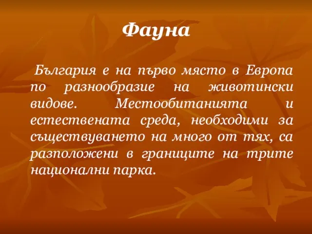 Фауна България е на първо място в Европа по разнообразие на животински