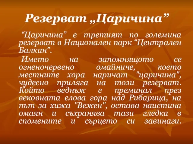 Резерват „Царичина” “Царичина” е третият по големина резерват в Национален парк “Централен