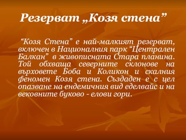 Резерват „Козя стена” “Козя Стена” е най-малкият резерват, включен в Националния парк