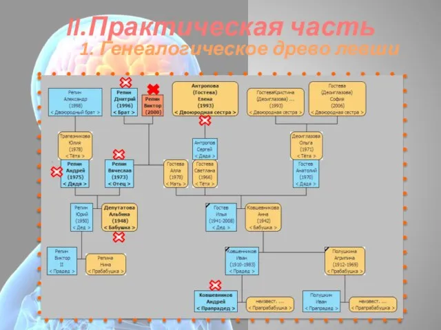 II.Практическая часть 1. Генеалогическое древо левши