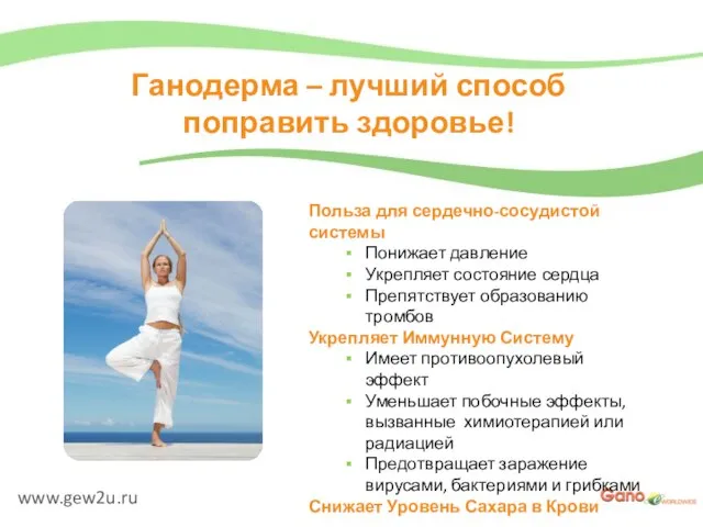 www.gew2u.ru Ганодерма – лучший способ поправить здоровье! Польза для сердечно-сосудистой системы Понижает