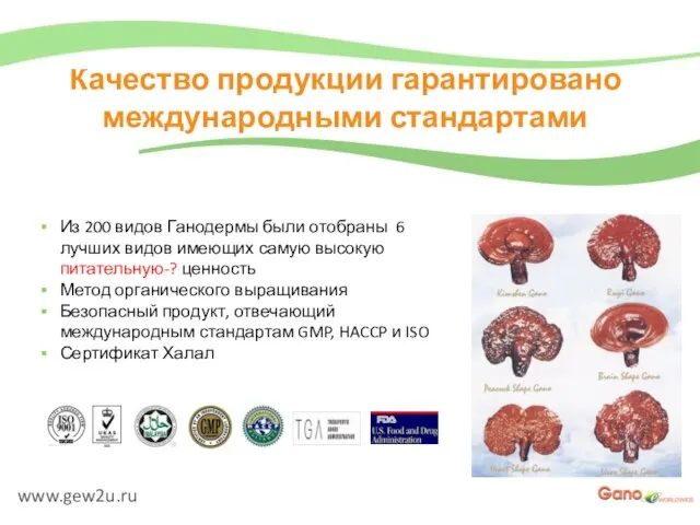 www.gew2u.ru Качество продукции гарантировано международными стандартами Из 200 видов Ганодермы были отобраны