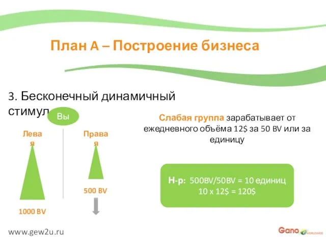 www.gew2u.ru План A – Построение бизнеса 3. Бесконечный динамичный стимул Вы Левая
