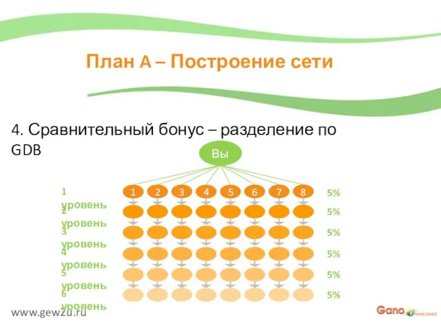 www.gew2u.ru План A – Построение сети 4. Сравнительный бонус – разделение по