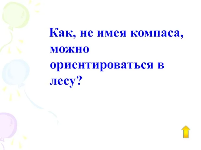 Как, не имея компаса, можно ориентироваться в лесу?