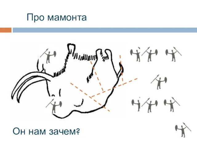 Он нам зачем? Про мамонта