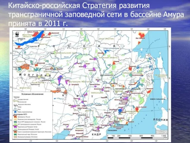 Китайско-российская Стратегия развития трансграничной заповедной сети в бассейне Амура принята в 2011 г.