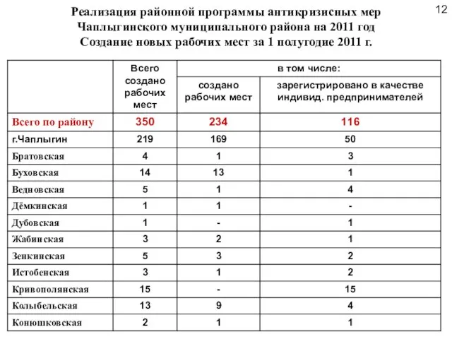 Реализация районной программы антикризисных мер Чаплыгинского муниципального района на 2011 год Создание