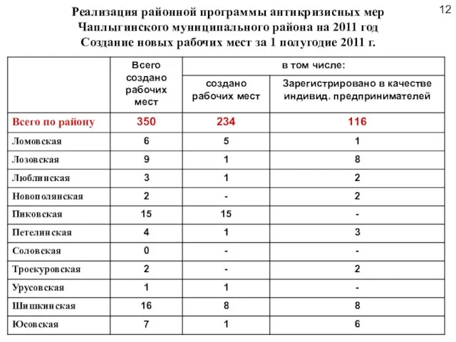 Реализация районной программы антикризисных мер Чаплыгинского муниципального района на 2011 год Создание