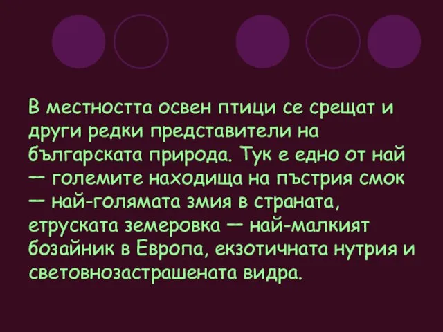 В местността освен птици се срещат и други редки представители на българската