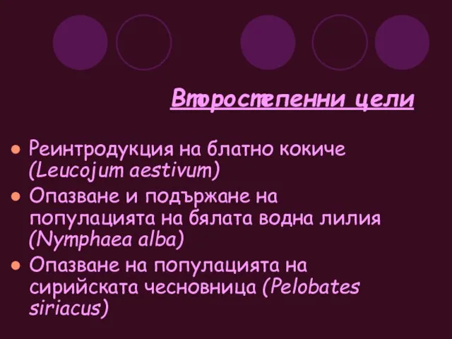 Второстепенни цели Реинтродукция на блатно кокиче (Leucojum aestivum) Опазване и подържане на