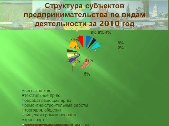 Структура субъектов предпринимательства по видам деятельности за 2010 год