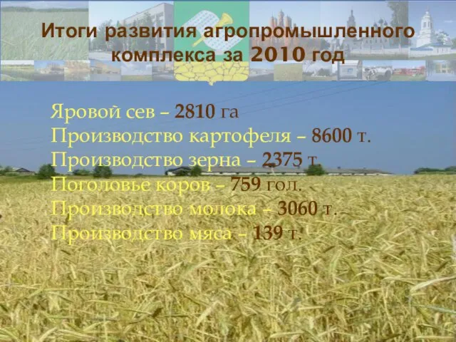 Яровой сев – 2810 га Производство картофеля – 8600 т. Производство зерна