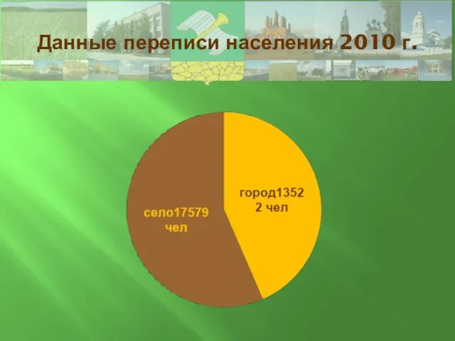 Данные переписи населения 2010 г.