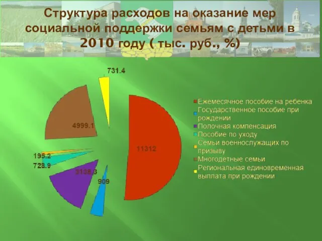 Структура расходов на оказание мер социальной поддержки семьям с детьми в 2010