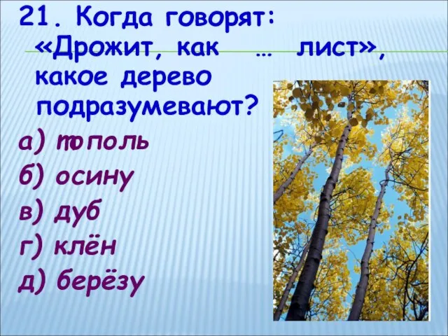 21. Когда говорят: «Дрожит, как … лист», какое дерево подразумевают? а) тополь