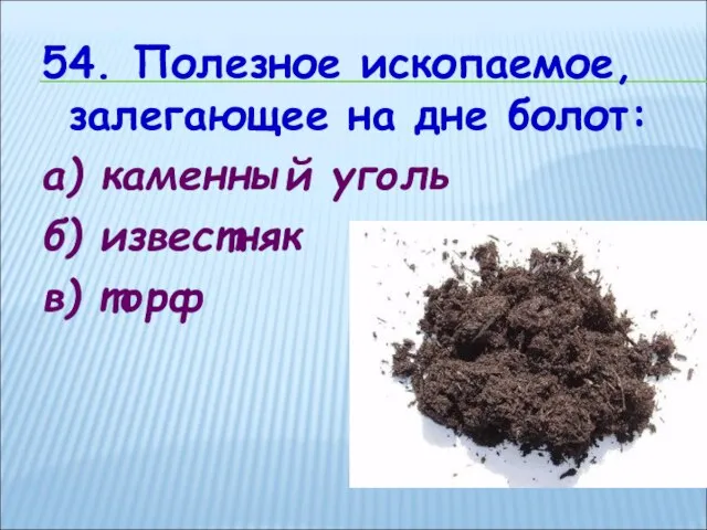 54. Полезное ископаемое, залегающее на дне болот: а) каменный уголь б) известняк в) торф