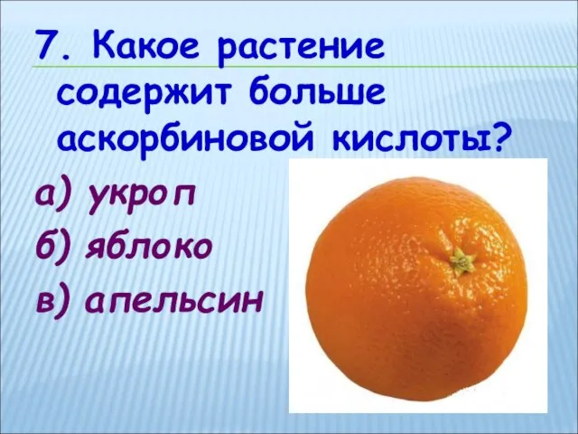 7. Какое растение содержит больше аскорбиновой кислоты? а) укроп б) яблоко в) апельсин