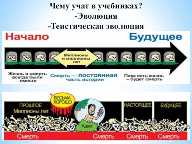 Чему учат в учебниках? -Эволюция -Теистическая эволюция