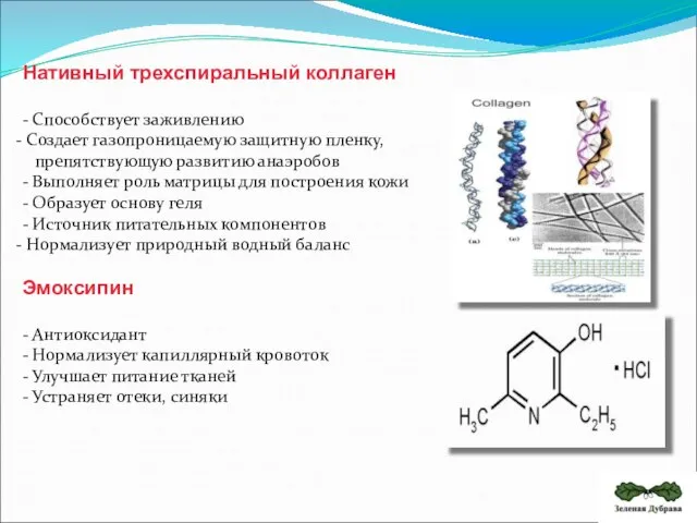 Нативный трехспиральный коллаген - Способствует заживлению Создает газопроницаемую защитную пленку, препятствующую развитию