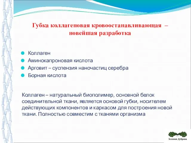 Коллаген – натуральный биополимер, основной белок соединительной ткани, является основой губки, носителем