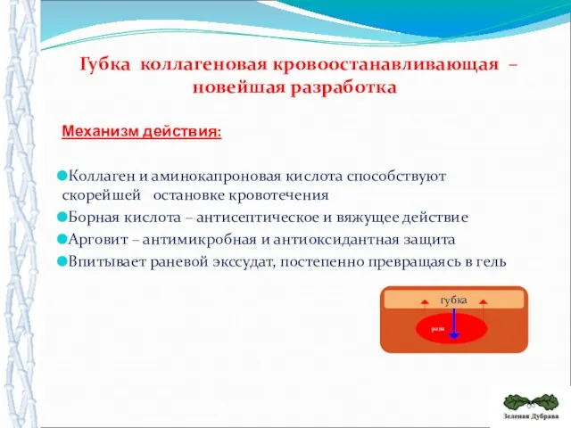 Механизм действия: Коллаген и аминокапроновая кислота способствуют скорейшей остановке кровотечения Борная кислота