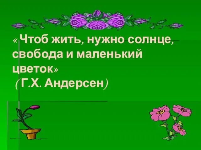 « Чтоб жить, нужно солнце, свобода и маленький цветок» ( Г.Х. Андерсен)