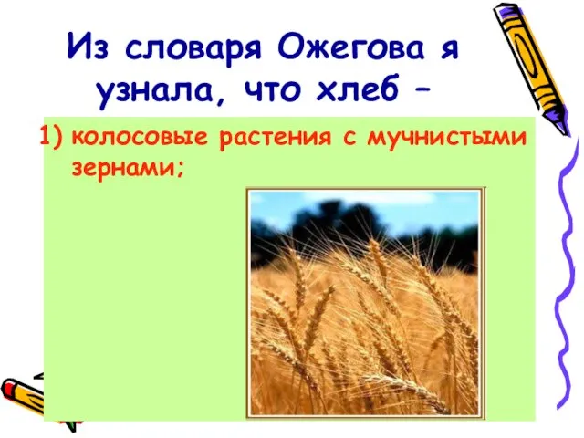 Из словаря Ожегова я узнала, что хлеб – колосовые растения с мучнистыми зернами;