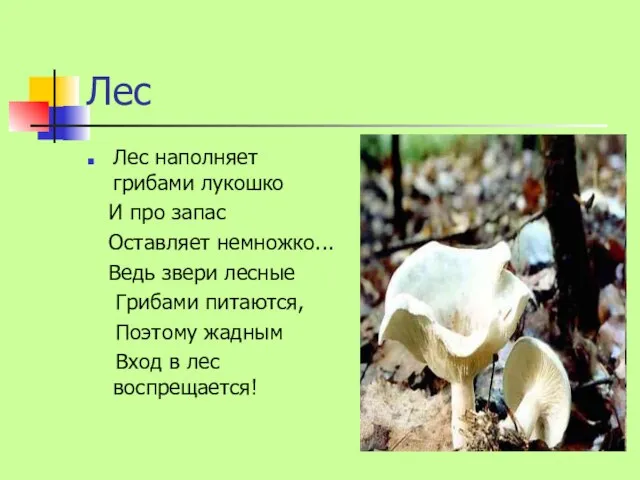 Лес Лес наполняет грибами лукошко И про запас Оставляет немножко... Ведь звери