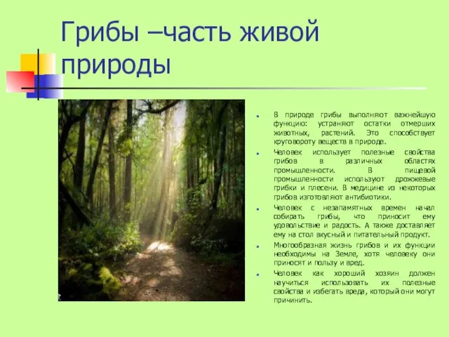 Грибы –часть живой природы В природе грибы выполняют важнейшую функцию: устраняют остатки