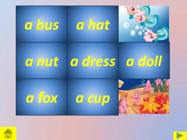 a dress a hat a bus a nut a fox a doll a cup