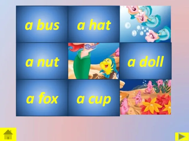 a hat a bus a nut a fox a doll a cup