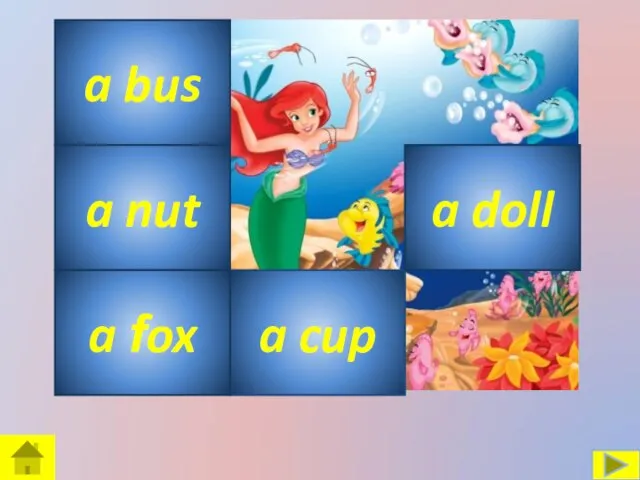 a cup a bus a nut a fox a doll