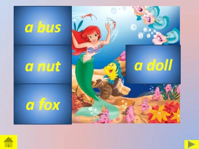 a bus a nut a fox a doll