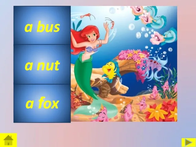 a bus a fox a nut