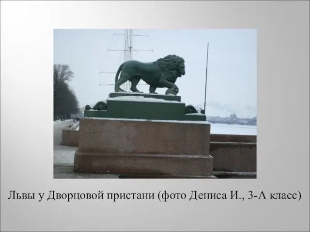 Львы у Дворцовой пристани (фото Дениса И., 3-А класс)