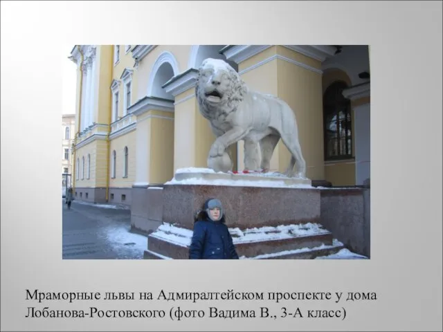 Мраморные львы на Адмиралтейском проспекте у дома Лобанова-Ростовского (фото Вадима В., 3-А класс)