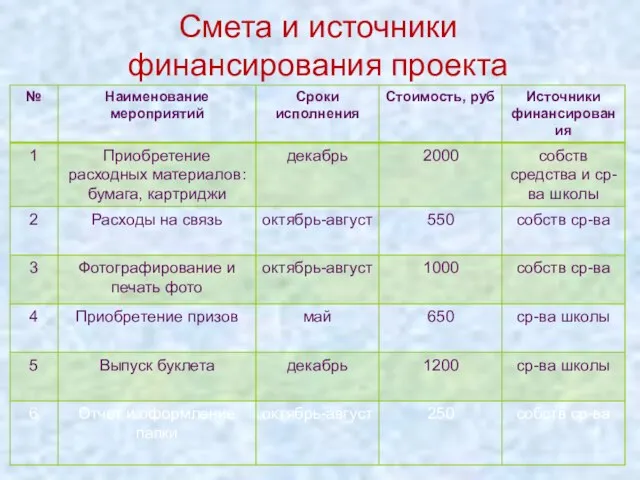 Смета и источники финансирования проекта