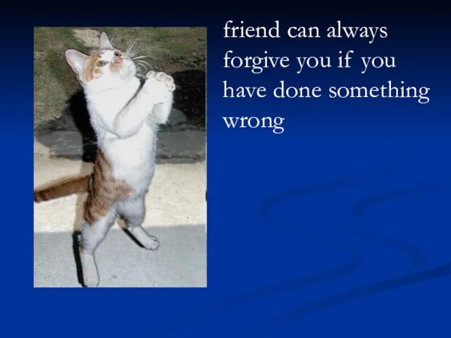 friend can always forgive you if you have done something wrong