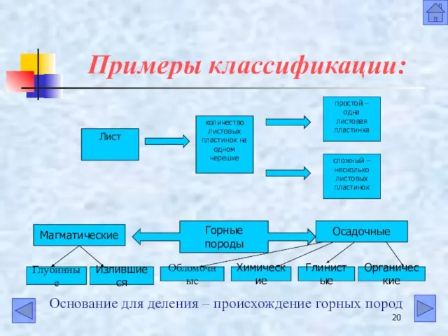 Примеры классификации: Основание для деления – происхождение горных пород