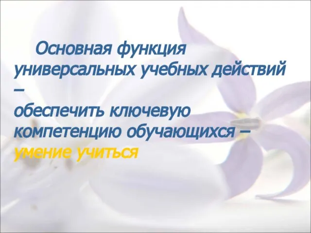 Основная функция универсальных учебных действий – обеспечить ключевую компетенцию обучающихся – умение учиться