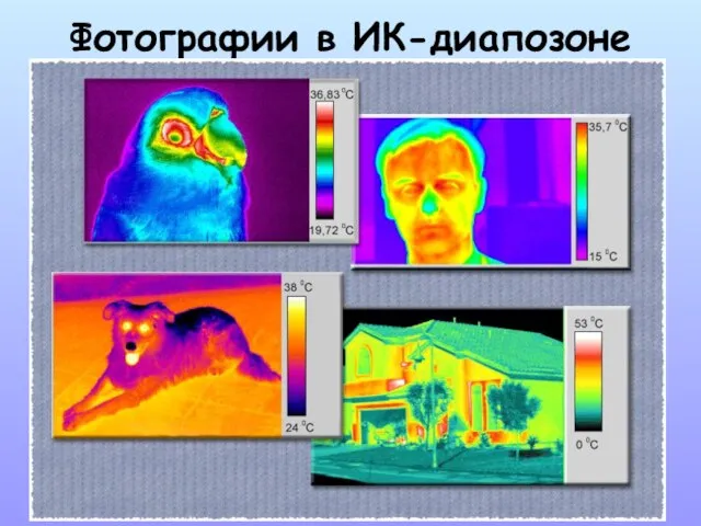 Фотографии в ИК-диапозоне