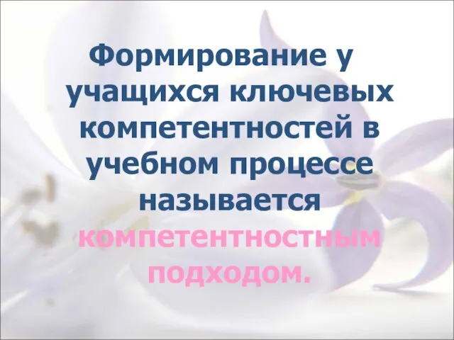 Формирование у учащихся ключевых компетентностей в учебном процессе называется компетентностным подходом.