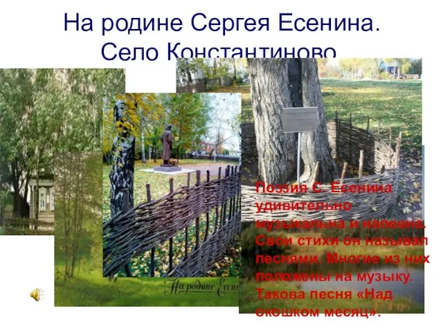 На родине Сергея Есенина. Село Константиново. Поэзия С. Есенина удивительно музыкальна и